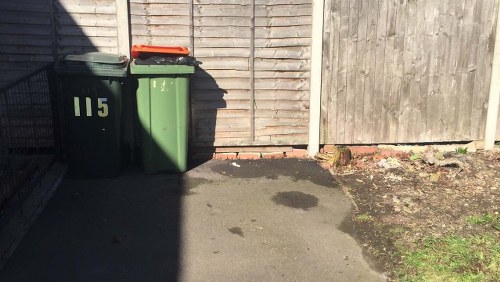 Weed control and plant maintenance in a Staines garden